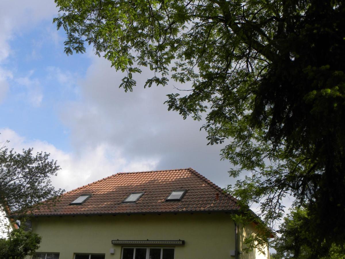 Ferienwohnung An Der 쇼어파이드 외부 사진